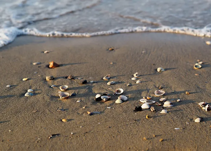 Relaxing 150mt From The Sea - Beahost Apartment *